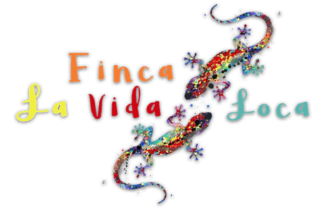 Finca La Vida Loca | Benalmádena Pueblo